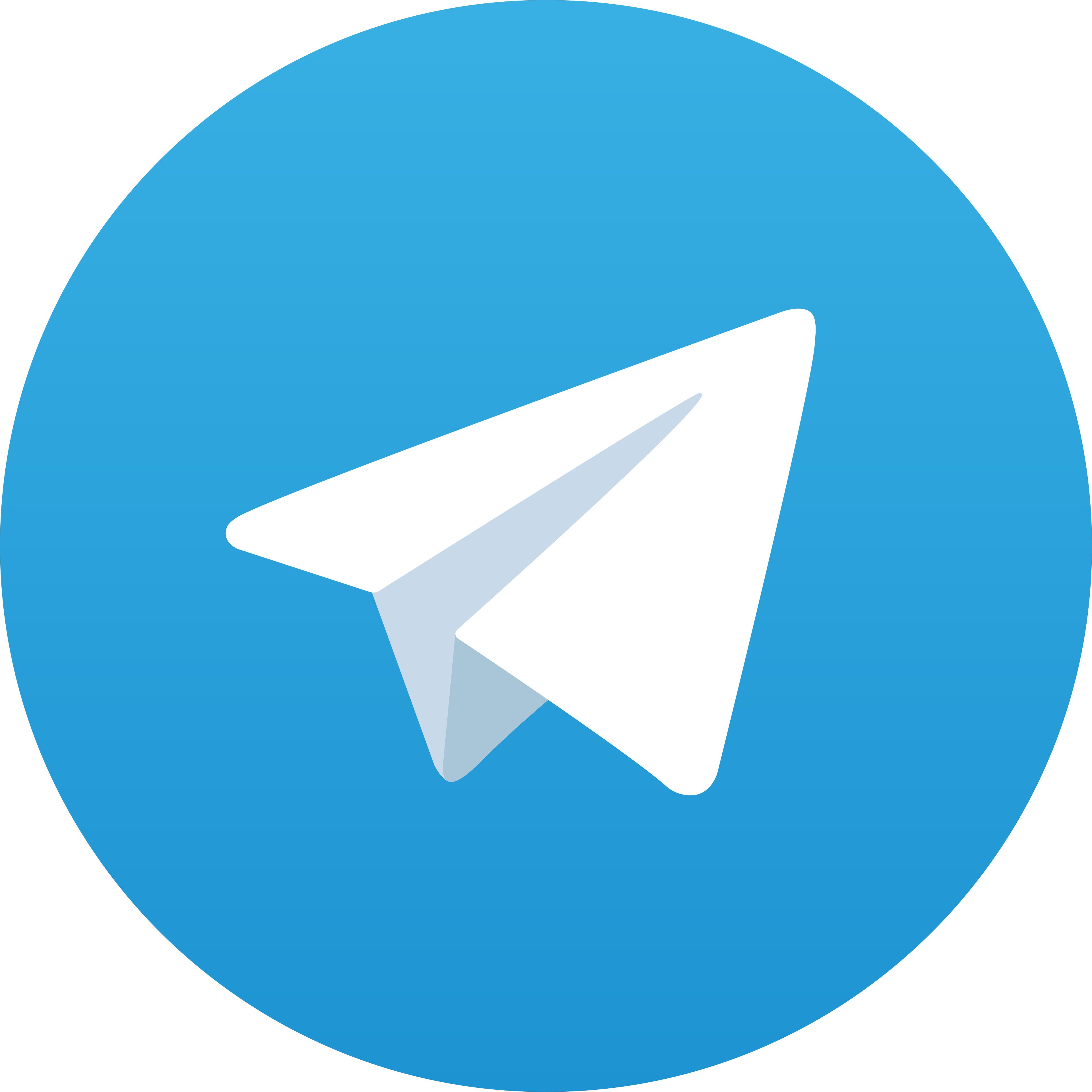 Telegram ZOOMTOTO